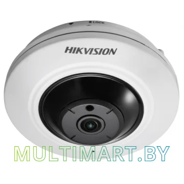 IP-камера Hikvision DS-2CD2955FWD-I